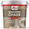 Badigeon à la chaux décoration intérieure extérieur maison BADIPLUS - 2.5 kg (jusqu'à 12.5 m²)