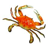 Large 17 Inch Replica Steamed Crab Wall Beach Decor - Red