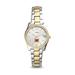 Women's Fossil Mercer Bears Scarlette Mini Two-Tone Stainless Steel Watch