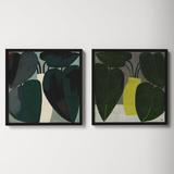 AllModern Plant Set Of 2 by Studiom - 2 Piece Picture Frame Print Set Paper in Black/Green/Yellow | 16 H x 16 W x 1.25 D in | Wayfair