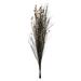 Primrue All Natural Bell Grass w/ Seed Pods, P 36"-40" Bell Grass w/ Seed Pods, Preserved | 36 H x 12 W x 6 D in | Wayfair