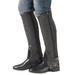 Ovation Ladies EquiStretch II Half Chaps - L - Regular - Smartpak