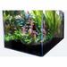 3.8 Gallon Low Iron Ultra Clear Aquarium Tank with Built in Side Filter, 14.17" L X 7.87" W X 7.87" H, 28 LBS