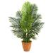 4.5' Paradise Palm Artificial Tree in Terra Cotta Planter - h: 4.5 ft. w: 36 in. d: 36 in