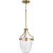 Progress Lighting Parkhurst 11 Inch Mini Pendant - P500360-109