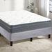 Twin Firm 2" Hybrid Mattress - Spinal Solution Medium 12" Euro Top Pocket Coil Mattress, w/ 13" Fashionable Platform Bed | 74 H x 38 W 25 D in Wayfair