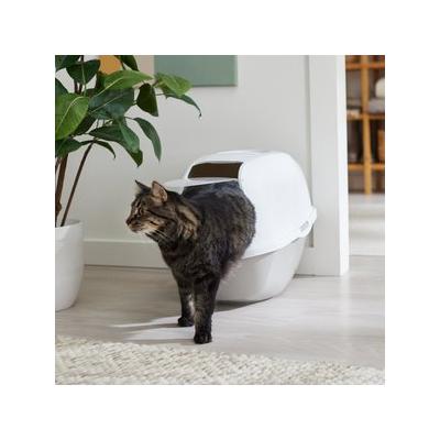 Frisco Modern Hooded Cat Litter Box, Grey, 21-in