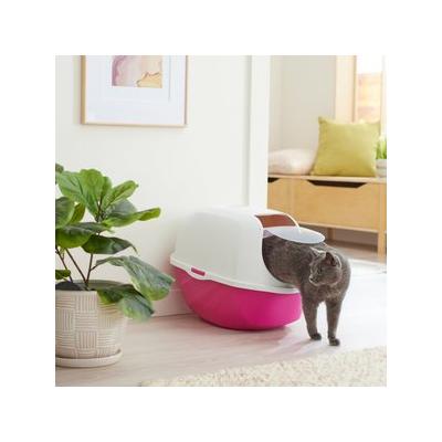Frisco Modern Hooded Cat Litter Box, Pink, 21-in