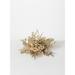 Sullivans Magnolia & Pomegranate Artificial Orb Decorative Filler 4.5"H Gold - 11"L x 11"W x 4.5"H