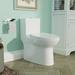 DeerValley Symmetry Dual Flush Elongated One-Piece Toilet (Seat Included), Ceramic in White | 26.97 H x 14.37 W x 26.77 D in | Wayfair DV-1F52508