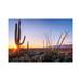 East Urban Home Sunset Saguaro National Park East I by Susanne Kremer - Wrapped Canvas Photograph Canvas | 8 H x 12 W x 0.75 D in | Wayfair