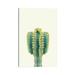 East Urban Home Mexican Cactus by Sisi & Seb - Wrapped Canvas Photograph Canvas | 12 H x 8 W x 0.75 D in | Wayfair 08F35D6C81644CCDA3948E03EEF9239F