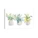East Urban Home Decorative Plant Arrangement I by Lanie Loreth - Wrapped Canvas Painting Canvas | 12 H x 18 W x 1.5 D in | Wayfair