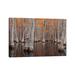 East Urban Home USA, George Smith State Park, Georgia. Fall Cypress Trees by Joanne Wells - Wrapped Canvas Photograph Canvas in Green | Wayfair