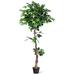 5.5FT Ficus Silk Leaf Artificial Tree Potted Fake Greenery Plants