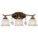 Metropolitan 3 Light 23" Wide Bathroom Vanity Light with Driftwood