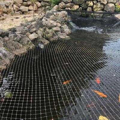 Aquaristikwelt24 - Teichabdecknetz 4x4m Teichnetz Teichschutz Fischreiher Laubschutz Abdecknetz Image