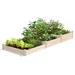 Greenes Fence Jaxon 12 ft x 4 ft Cedar Raised Garden Wood in Brown | 10.5 H x 144 W x 48 D in | Wayfair RCP2T10S31B
