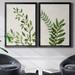 Sand & Stable™ Botanical Wash I - 2 Piece Painting Print Set on Canvas Canvas, Solid Wood in Green | 22.5 H x 61 W x 3 D in | Wayfair