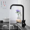 Lonheo Robinet de Cuisine Inox Basse Pression noir Robinet pour Lavabo Vasque Mitigeur de Lavabo