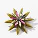 Anthropologie Jewelry | Anthropologie Cosmic Rhinestone Brooch | Color: Green/Pink | Size: Os