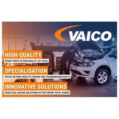 VAICO Steuerkettensatz mit Zahnrädern für PEUGEOT CITROËN/PEUGEOT MINI CITROËN MERCEDES-BENZ BMW 7597895 0816J2 816.J2 V20-10001 Image