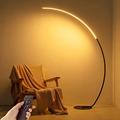 LED Arc Floor Lamp, 25W Modern Dimmable Standing Light for Living Room, Stepless Dimming & 3 Color Temperature, Reading Lamps with Remote Control, Perfect for for Bedroom, Office, Black