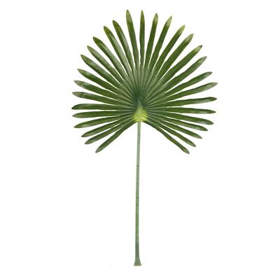 A&B Home 41-inch Anemone Leaf Stem