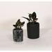 Upshining Live Plant Rubber Tree w/ Ceramic Planter Pots 5" & 6" Indoor Plants in Black | 7 H x 5 D in | Wayfair 4R-CDbmCSb