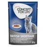 Concept for Life British Shorthair Adult - ricetta migliorata! - umido a completamento: 12 x 85 g Concept for Life British Shorthair Adult