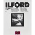 Ilford MULTIGRADE RC PF1K Portfolio Double-Weight Paper (Glossy, 16 x 20", 10 Shee 1181915