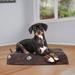 FurHaven Garden Indoor/Outdoor Orthopedic Dog Mat Polyester/Memory Foam in Brown | 3 H x 20 W x 15 D in | Wayfair 32243471