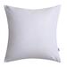 Everly Quinn Renelde Velvet Throw Cushion Polyester/Polyfill/Velvet in White | 20 H x 20 W x 1 D in | Wayfair C1D55E8026CF4D0CB5668A9EADFEA412