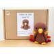 Crochet kit for a cute amigurumi animal Christmas bird ~ Terrence the Turkey ~ DIY kit/crafting kit/starter pack