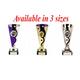 Trophy Cups - Personalized Engraving- Custom Inserts - Purple/Silver, Purple/Gold, Silver