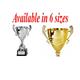 Metal Trophy Cup Silver and Gold - Trophy cup - Award Trophy - Personalized Engraving