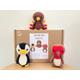 Crochet kit for cute amigurumi animal Christmas birds/toys/bundle/DIY crochet kit/crafting kit/starter pack