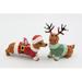 Cosmos Gifts Christmas Dachshund Salt & Pepper Shaker Set Dolomite in Brown/Green/Red | 3.75 H x 4.38 W in | Wayfair 57013
