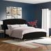 Etta Avenue™ Alphonse Twin Panel Bed Upholstered/Velvet, Wood in Black | 52.4 H x 80.3 W x 86.1 D in | Wayfair A5A2678EF5FC4AB5B35A8DC542894ABD