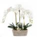 Jenny Silks Real Touch White Phalenophsis Orchids Flower Arrangement in Planter Faux Silk | 24 H x 23 W x 17 D in | Wayfair F-178