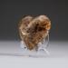 Astro Gallery of Gems Genuine Polished Brown Onyx Heart from Mexico Stone, Crystal in Brown/Gray | 2 H x 2.5 W x 1 D in | Wayfair ON-H1