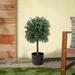 Primrue 42.25" Artificial Boxwood Tree in Pot Plastic | 48 H x 13 W x 13 D in | Wayfair 85F97646B8104438809FF484D113DFD8