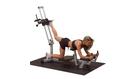 Body Solid PowerLine PGM200X Glute Master