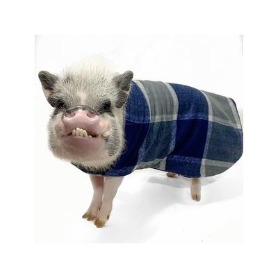 Morty's Pig Clothes Fleece Strap Pig Sweater, Navy Plaid, Small