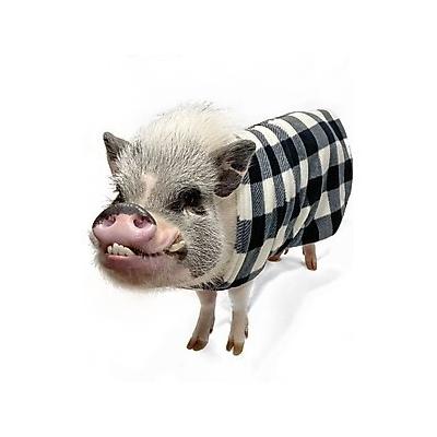 Morty's Pig Clothes Fleece Strap Pig Sweater, White Plaid, X-Small