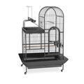 Signature Series Deluxe Parrot Cage with Playtop Area Wrought Iron Bird Cage in Black