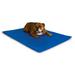Cool Blue Bed III for Dogs, 22" L X 32" W, Medium