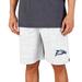 Men's Concepts Sport White/Charcoal Georgia Southern Eagles Throttle Knit Jam Shorts