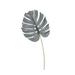 Primrue Artificial Frosted Philodendron Monstera Leaf Stem Plastic | 24 H x 9 W x 0.25 D in | Wayfair B3568434489B40C88E27B39476BB51E7