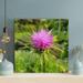 Red Barrel Studio® A Thistle In Full Bloom - 1 Piece Rectangle Graphic Art Print On Wrapped Canvas in Brown/Pink | 12 H x 12 W x 2 D in | Wayfair